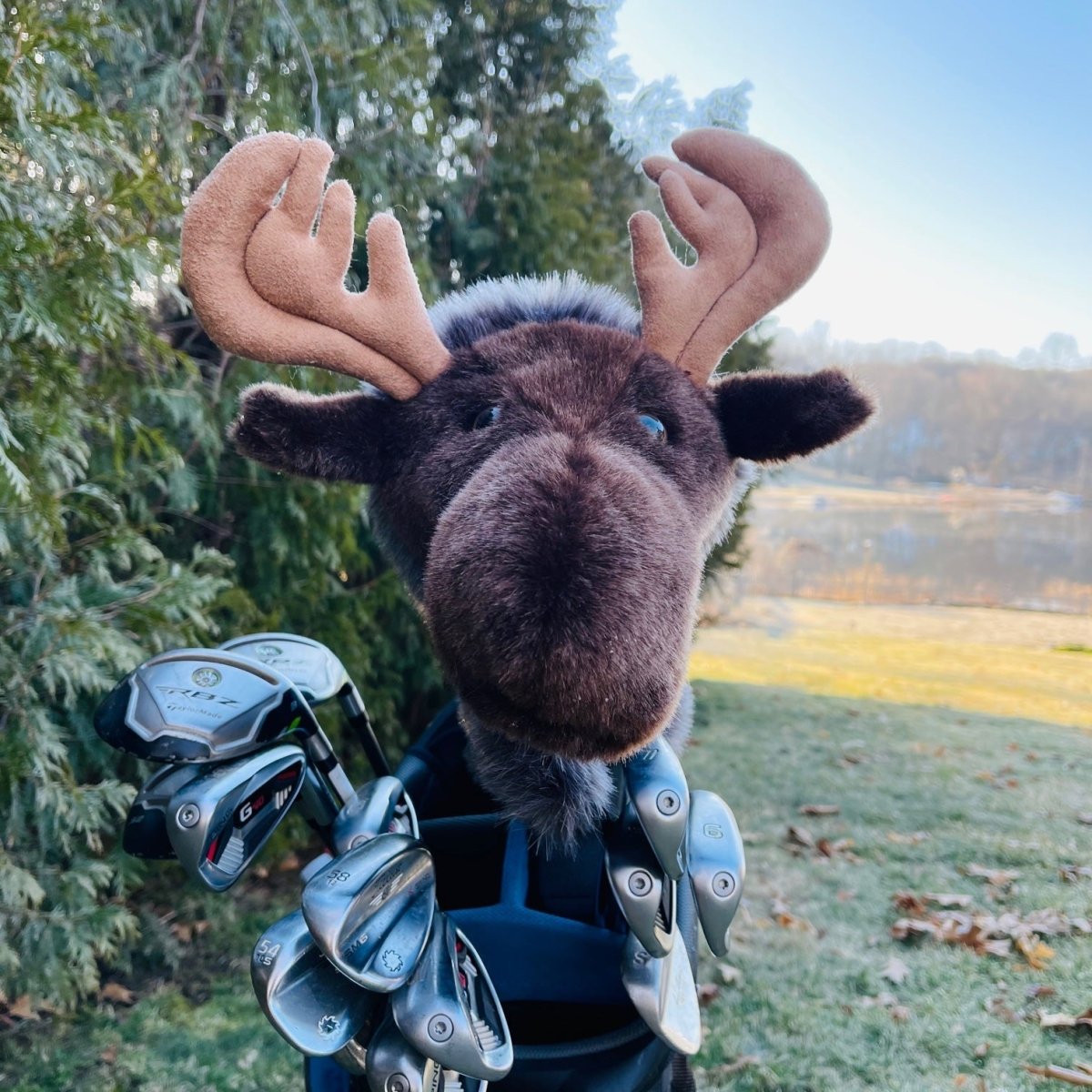 Bullwinkle Moose by Groovy Groomsmen Gifts